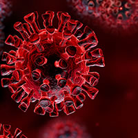 coronavirus featured image